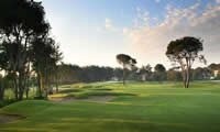 maxx royal golf and span hotel